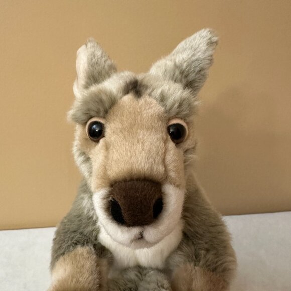 2 SOS Save Our Space Plush Toys / Kangaroo with Joey and Capybara - Picture 6 of 12